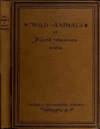 1918WAnimals.jpg (134940 bytes)