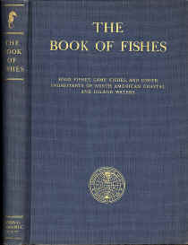 1939Fishes.jpg (162250 bytes)