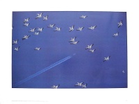 1981Pelicans.jpg