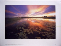 1987Okavango.jpg
