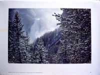 1987Yellowstone.jpg