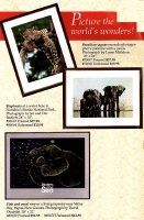 1991Prints2.jpg