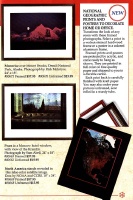 1991Prints3.jpg