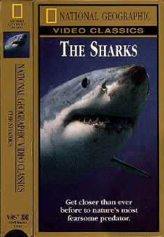 1994Sharks.jpg (59002 bytes)